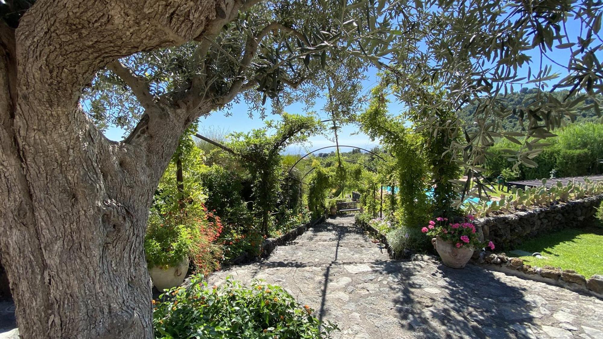 Villa Il palmento dell'Etna Trecastagni Esterno foto