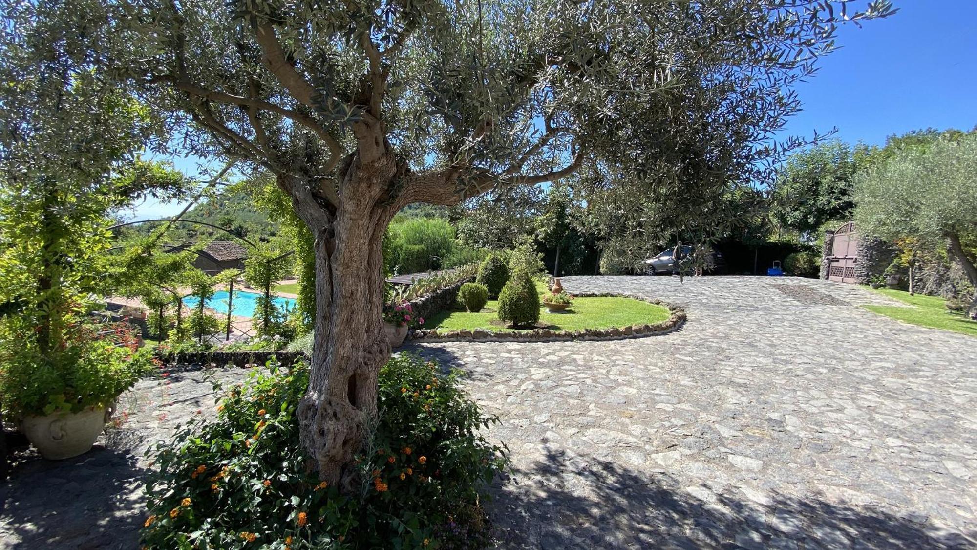 Villa Il palmento dell'Etna Trecastagni Esterno foto